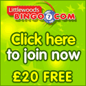 Play Littlewoods Bingo