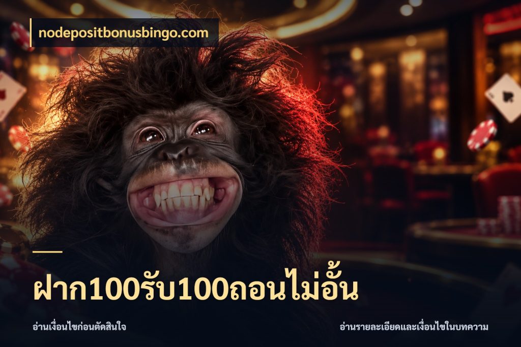 ฝาก100รับ100ถอนไม่อั้น สนุกกับตัวเลือกโปรในสไตล์ของคุณ ในมุม nodepositbonusbingo.com