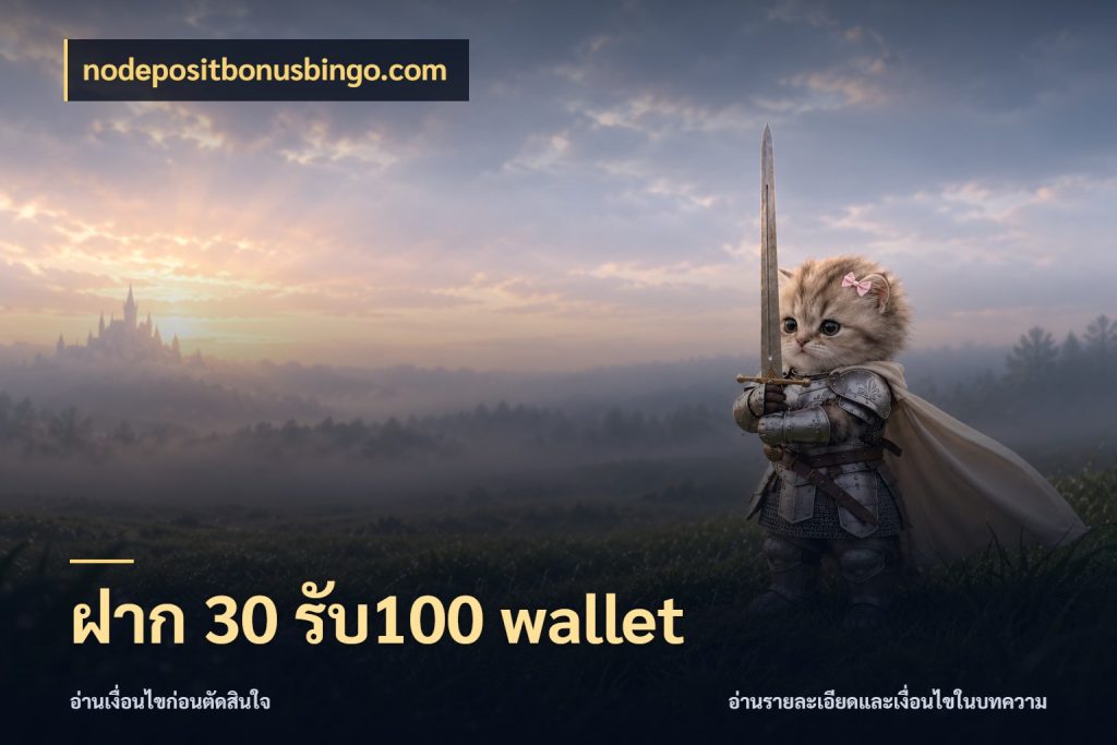 ฝาก 30 รับ100 wallet สายโบนัสเลือกจังหวะสนุกได้อย่างไร สไตล์ nodepositbonusbingo.com