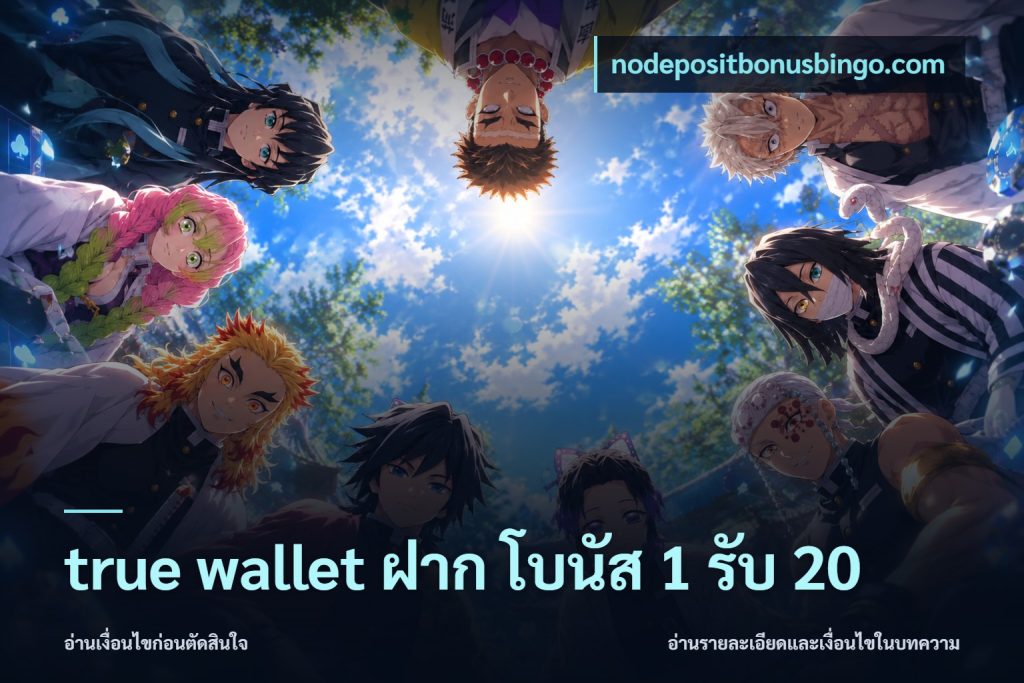 true wallet ฝาก โบนัส 1 รับ 20
