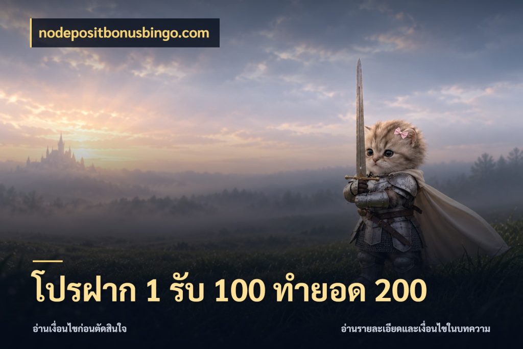 โปรฝาก 1 รับ 100 ทำยอด 200 ยอดฝากและยอดรับในมุมของคนชอบลุ้น กับ nodepositbonusbingo.com