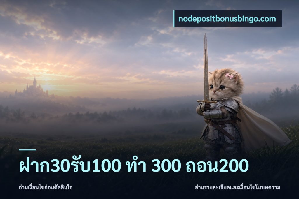ฝาก30รับ100 ทํา 300 ถอน200