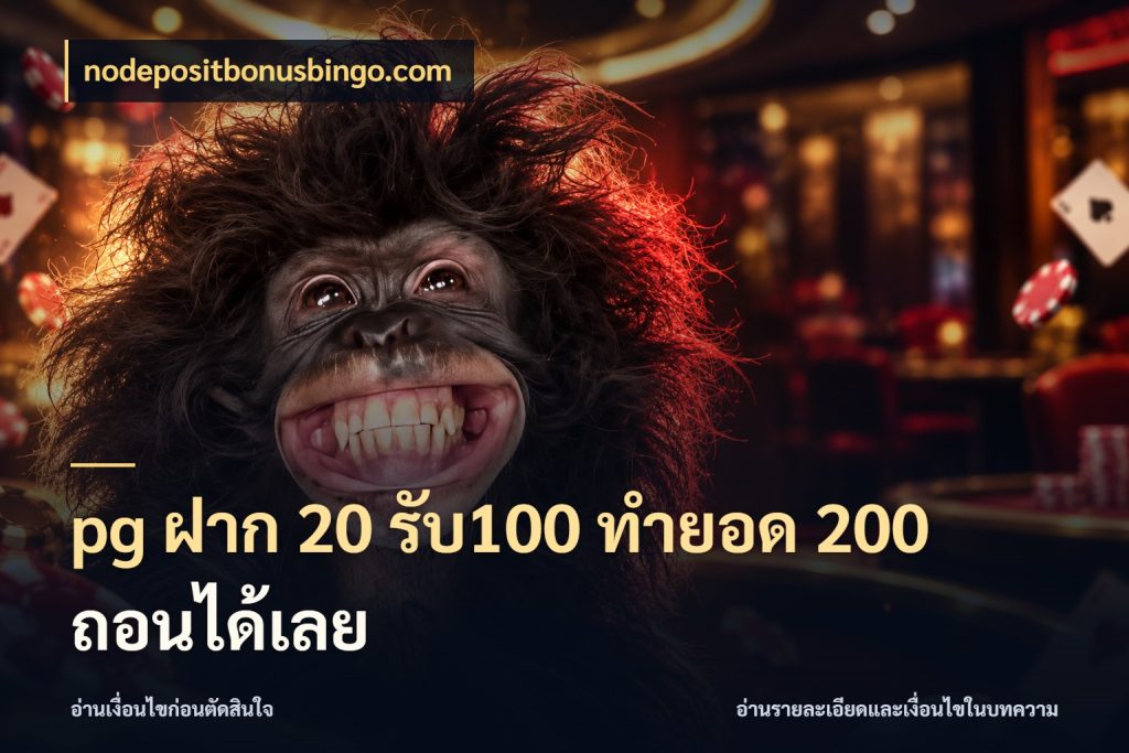 pg ฝาก 20 รับ100 ทำยอด 200 ถอนได้เลย สายโบนัสเลือกจังหวะสนุกได้อย่างไร กับ nodepositbonusbingo.com