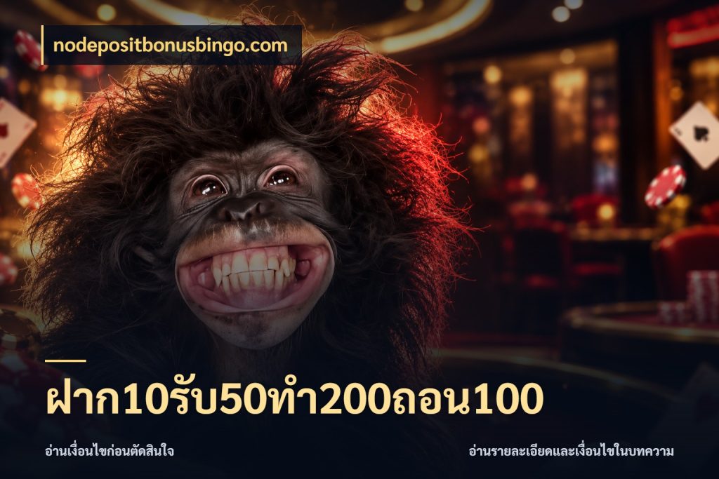 ฝาก10รับ50ทํา200ถอน100 nodepositbonusbingo.com สนุกกับตัวเลือกโปรในสไตล์ของคุณ