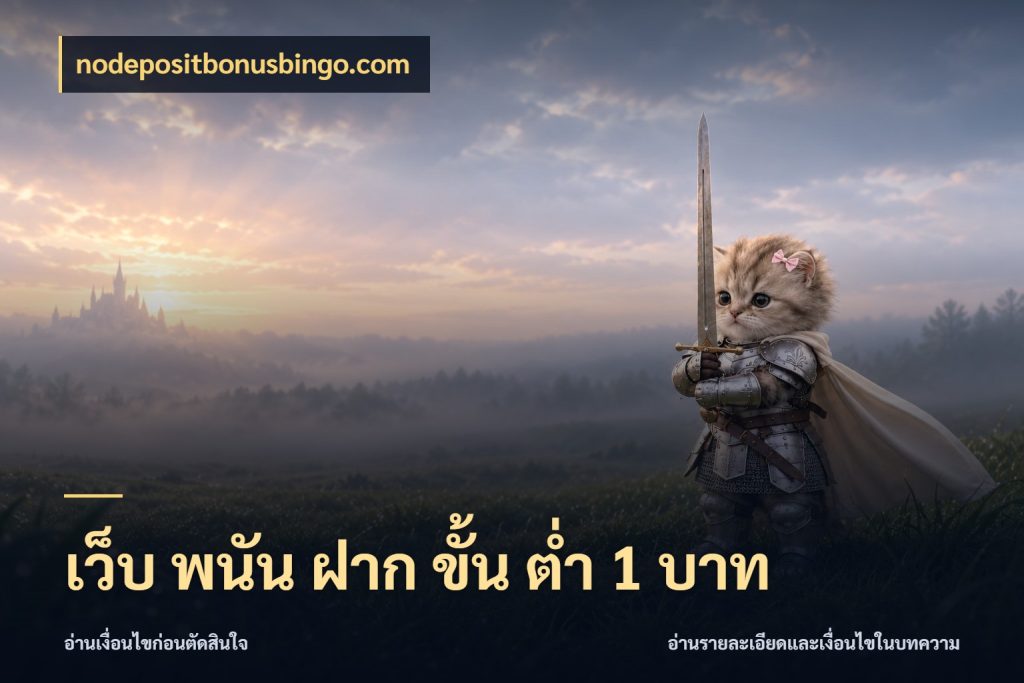 เว็บ พนัน ฝาก ขั้น ต่ำ 1 บาท รู้จักจำนวนแต่ละแบบก่อนเลือกเกม ในมุม nodepositbonusbingo.com