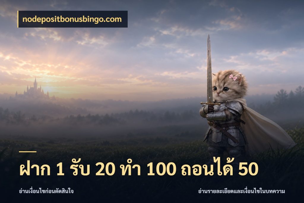 ฝาก 1 รับ 20 ทำ 100 ถอนได้ 50 จุดเด่นของเครดิตที่คนชอบเกมอยากรู้ ในมุม nodepositbonusbingo.com