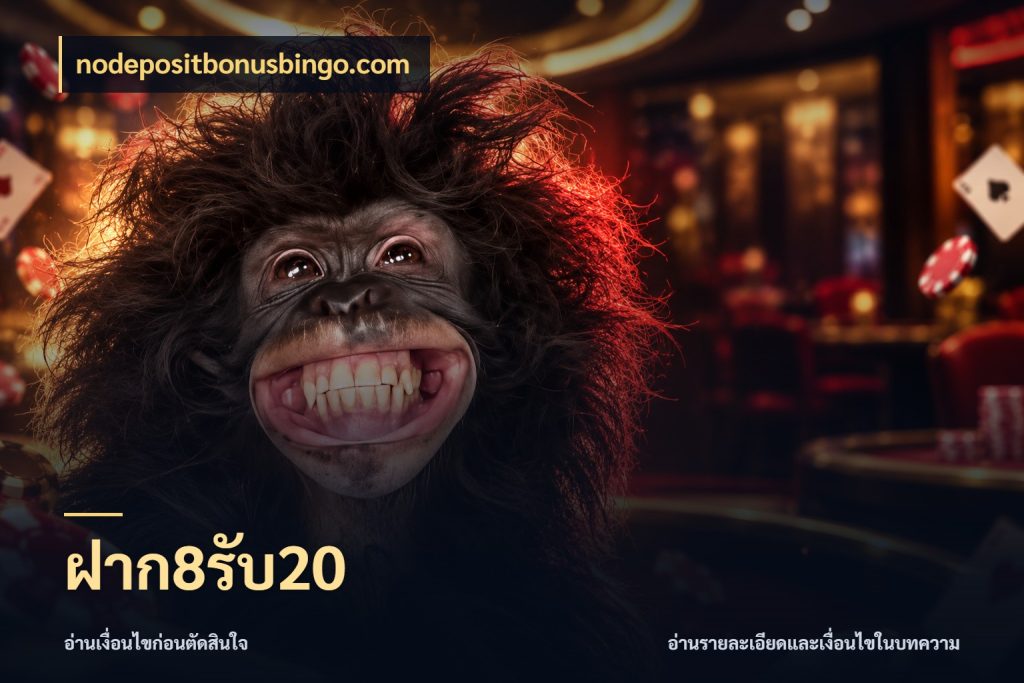 ฝาก8รับ20 จับประเด็นยอดรับก่อนเลือกความสนุก ในมุม nodepositbonusbingo.com
