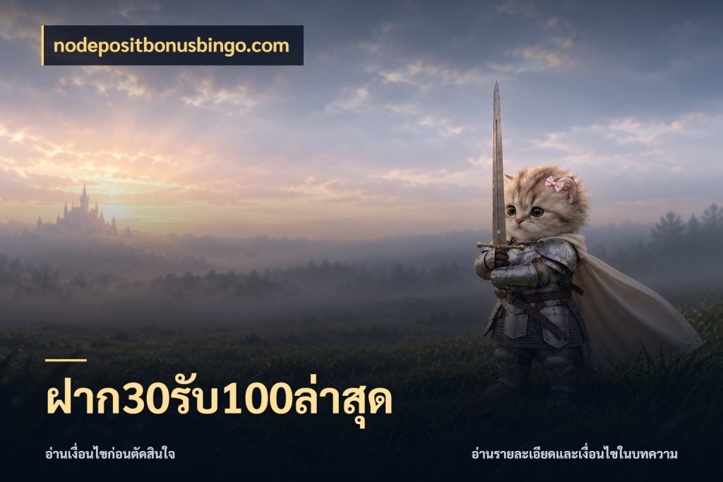 ฝาก30รับ100ล่าสุด เครดิตกับรูปแบบโปรที่ตรงใจ กับ nodepositbonusbingo.com
