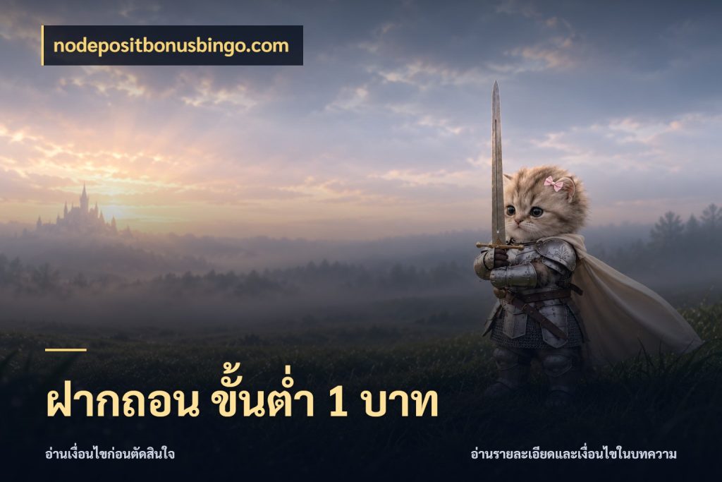 ฝากถอน ขั้นต่ำ 1 บาท ยอดเริ่มต้นน่าจับตากับสิทธิ์ที่เกี่ยวข้อง กับ nodepositbonusbingo.com
